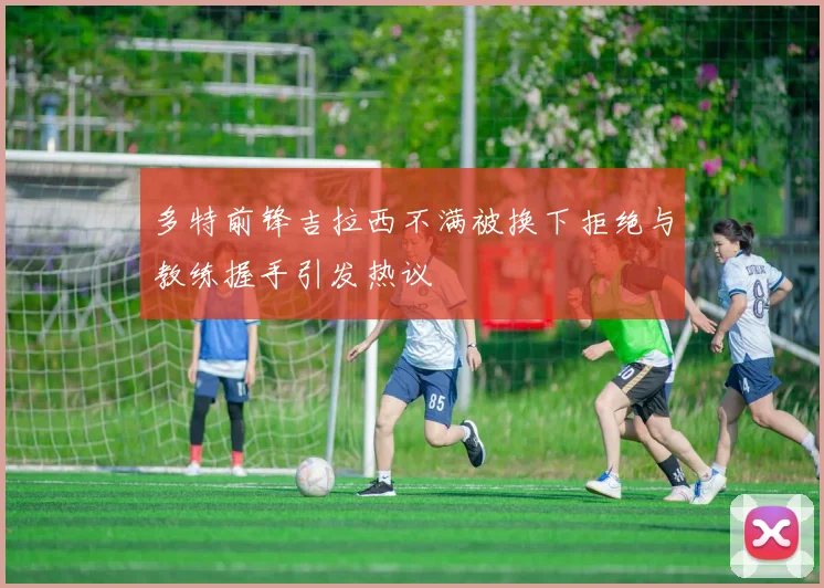 多特前锋吉拉西不满被换下拒绝与教练握手引发热议