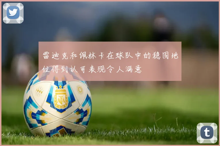 雷迪克和佩林卡在球队中的稳固地位得到认可表现令人满意