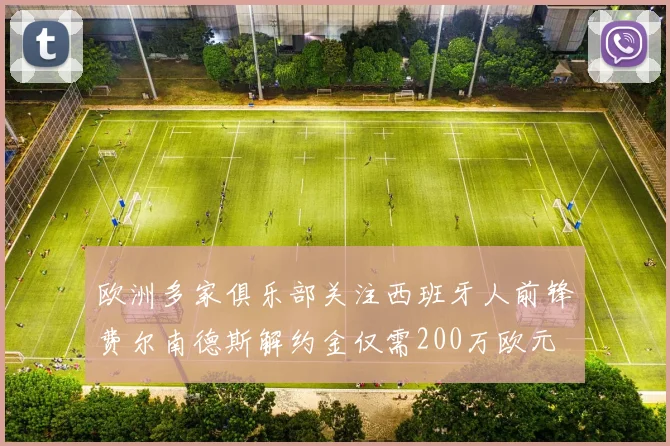 欧洲多家俱乐部关注西班牙人前锋费尔南德斯解约金仅需200万欧元
