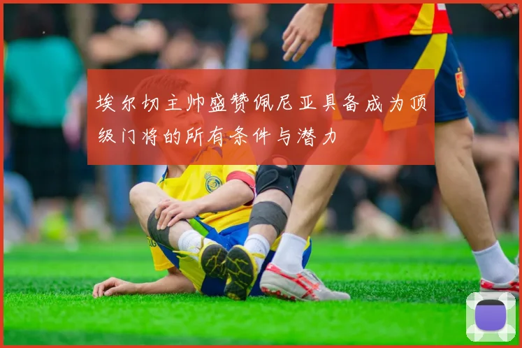 埃尔切主帅盛赞佩尼亚具备成为顶级门将的所有条件与潜力
