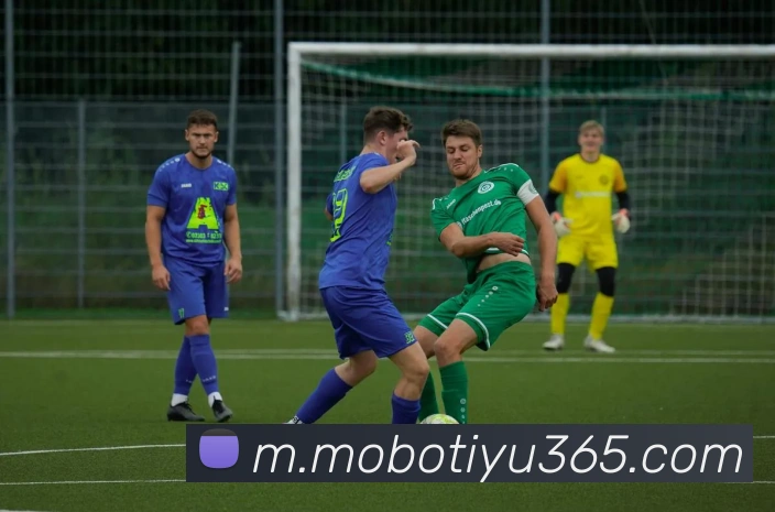 摩博体育APP 高清赛事图